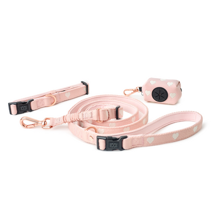 The DOGISTRY x Fi Sweetheart 3+ Collar Band