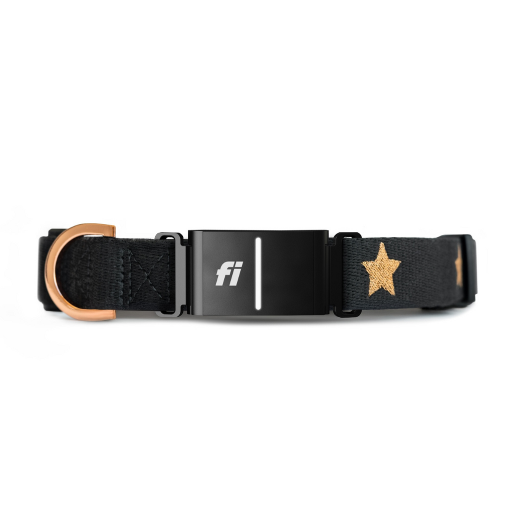 The DOGISTRY x Fi Rockstar 3+ Collar Band