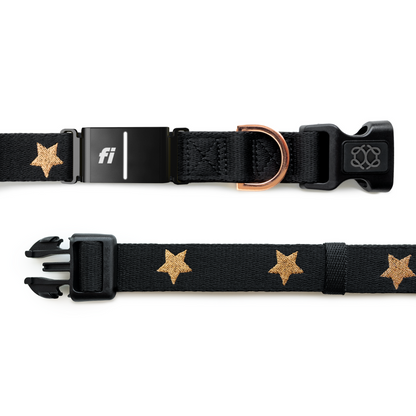 The DOGISTRY x Fi Rockstar 3+ Collar Band