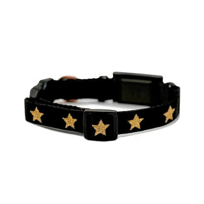 The DOGISTRY x Fi Rockstar 3+ Collar Band