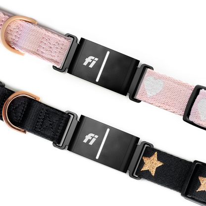 The DOGISTRY x Fi Rockstar 3+ Collar Band