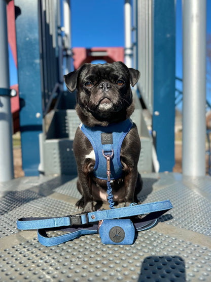 3-in-1 City Dog Leash - Denim