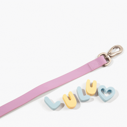 Original Dog Leash with Neoprene Handle - 5ft