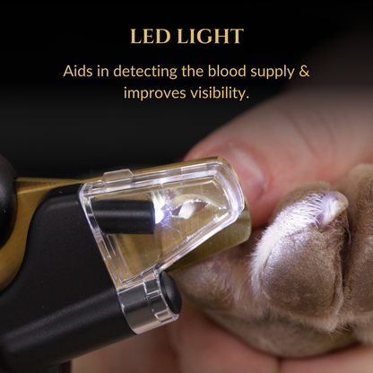 3 in 1 Nail Clippers