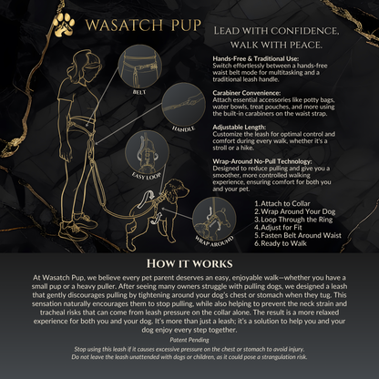 Calm Command: Hands Free No-Pull Leash