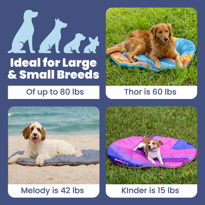 Travel Dog Bed - Foldable & Packable for Travel, Road Trip, Camping