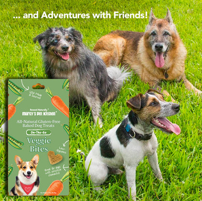 Marcy's Pet Kitchen® - 'On-The-Go' All-Natural, Vegan Veggie Biscuit