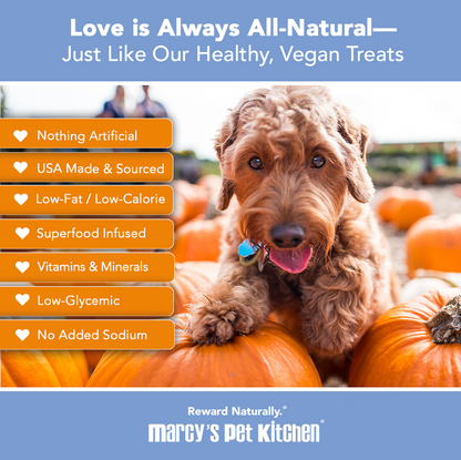 Marcy's Pet Kitchen- All Natural, Vegan Pumpkin Biscuit Dog Treats - Homemade-Vet Approved