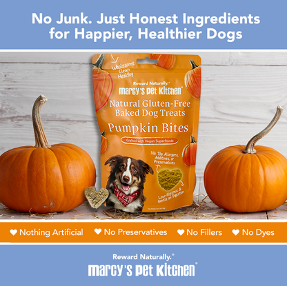 Marcy's Pet Kitchen- All Natural, Vegan Pumpkin Biscuit Dog Treats - Homemade-Vet Approved