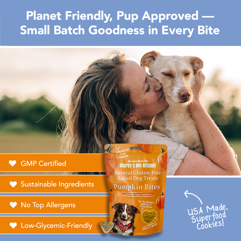 Marcy's Pet Kitchen- All Natural, Vegan Pumpkin Biscuit Dog Treats - Homemade-Vet Approved