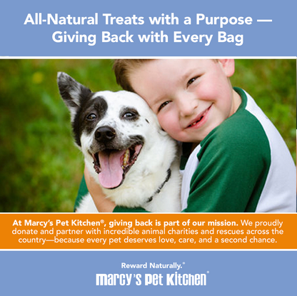 Marcy's Pet Kitchen- All Natural, Vegan Pumpkin Biscuit Dog Treats - Homemade-Vet Approved