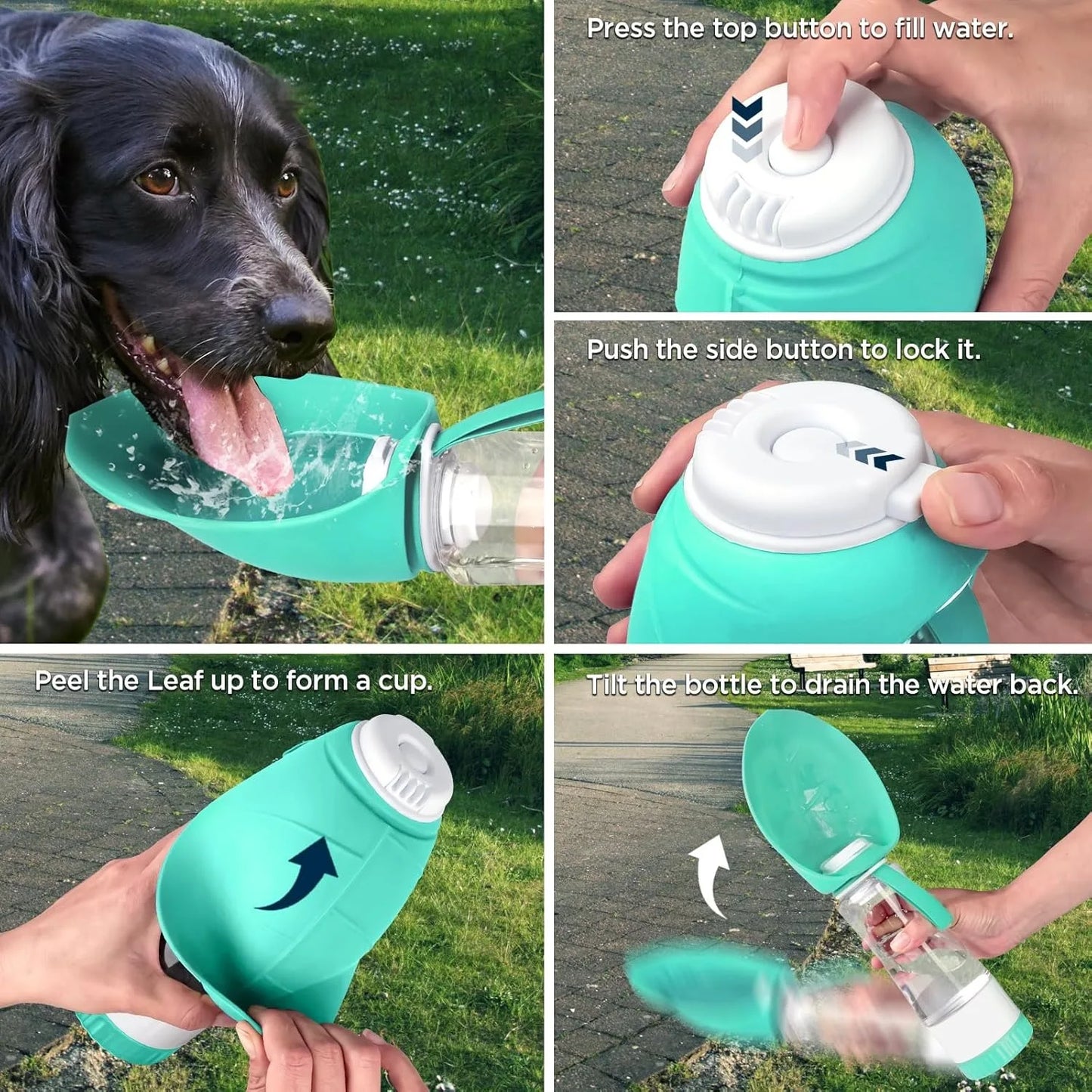 Dog Water Bottle Dispenser