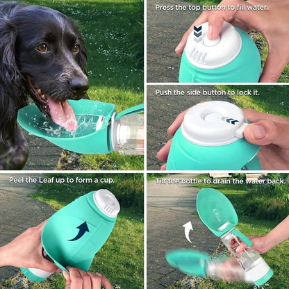 Dog Water Bottle Dispenser