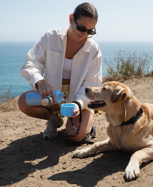24oz Dog & Me Insulated Water Bottle