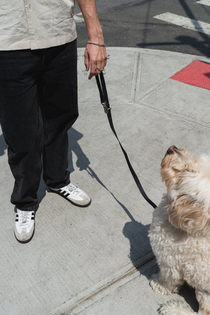 Original City Dog Leash - 3.25ft