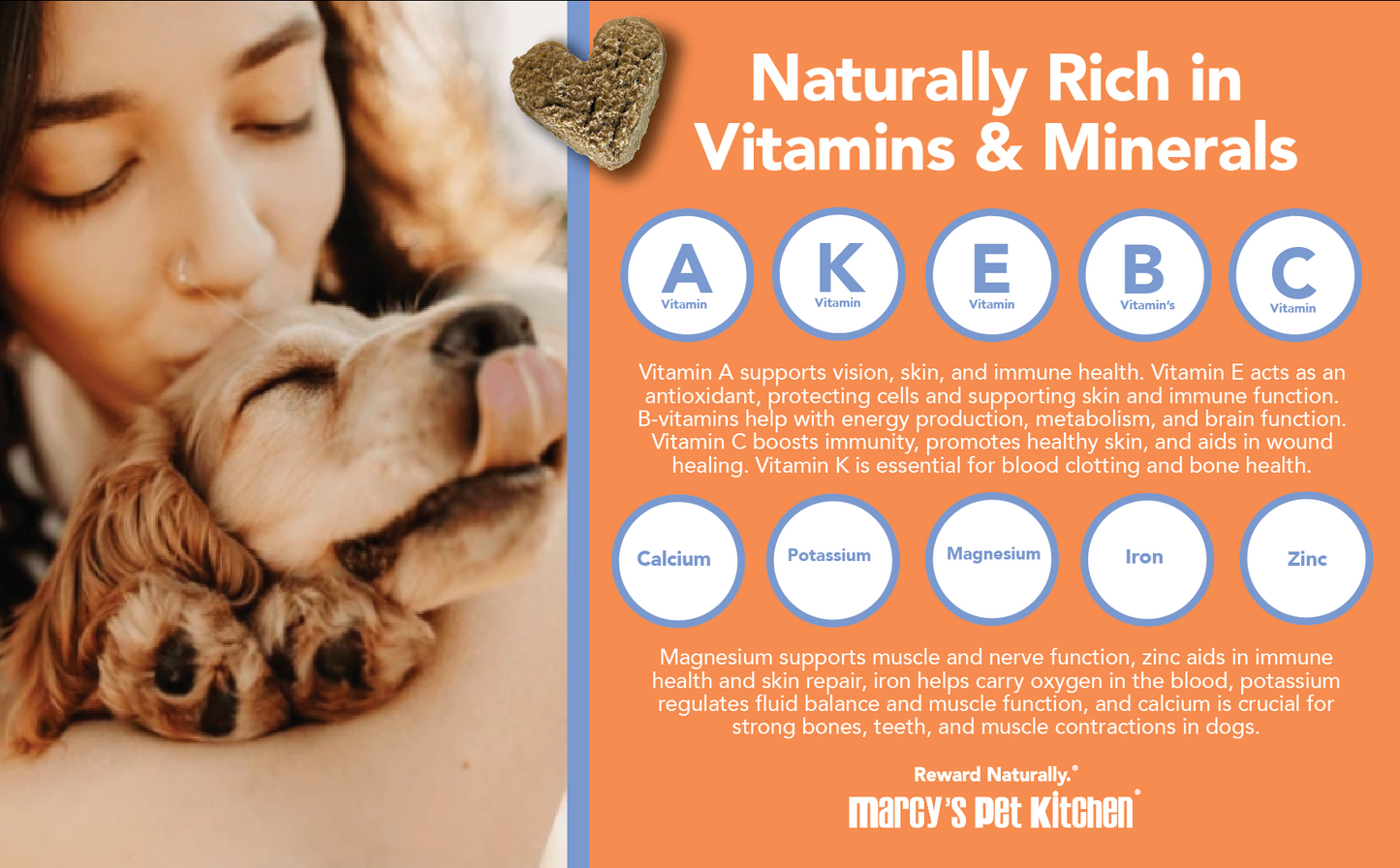Marcy's Pet Kitchen- All Natural, Vegan Pumpkin Biscuit Dog Treats - Homemade-Vet Approved