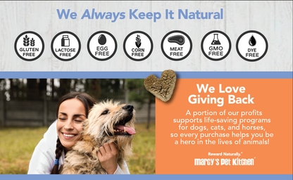Marcy's Pet Kitchen- All Natural, Vegan Pumpkin Biscuit Dog Treats - Homemade-Vet Approved