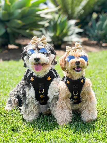 SoHo Dog Harness - Rockstar