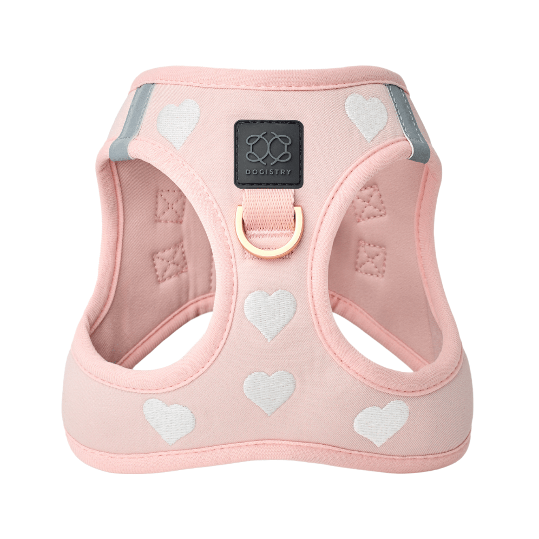 SoHo Dog Harness - Sweetheart