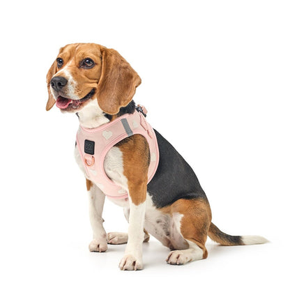 SoHo Dog Harness - Sweetheart