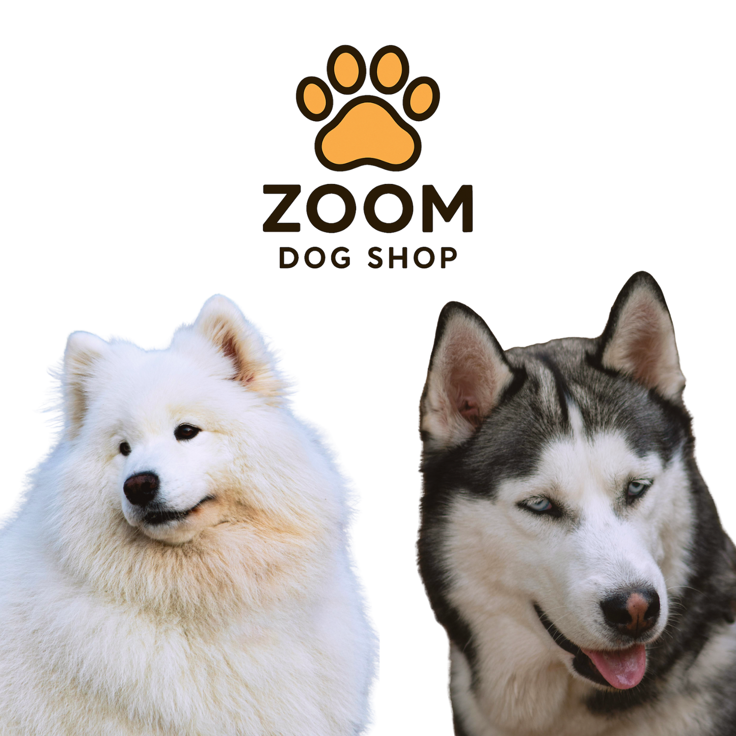 Zoom Dog Shop Lover - Gift Cards!
www.zoomdogshop.com