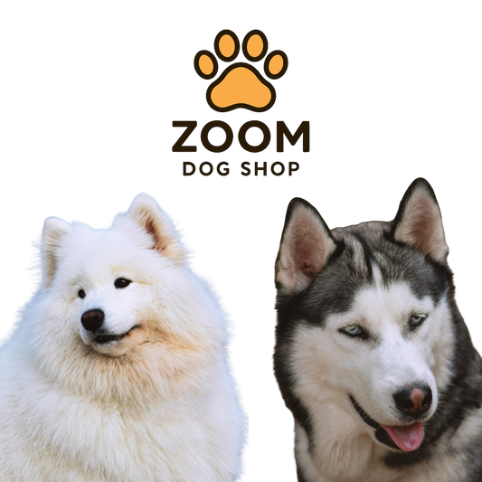 Zoom Dog Shop Lover - Gift Cards!
www.zoomdogshop.com