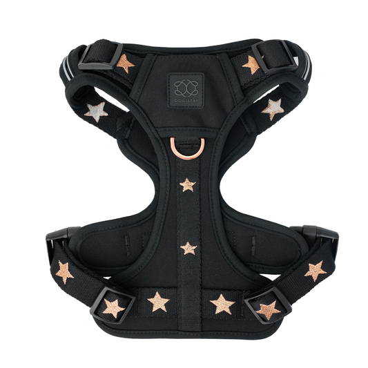 The NoMad Adjustable Luxe Harness - Rockstar