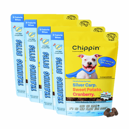 Fish & Sweet Potato Training Bites, 4-Pack