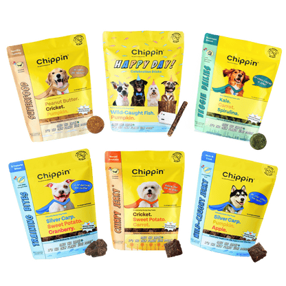 Chippin Treats Variety Gift Bundle, 6-Pack- Your dog will love these