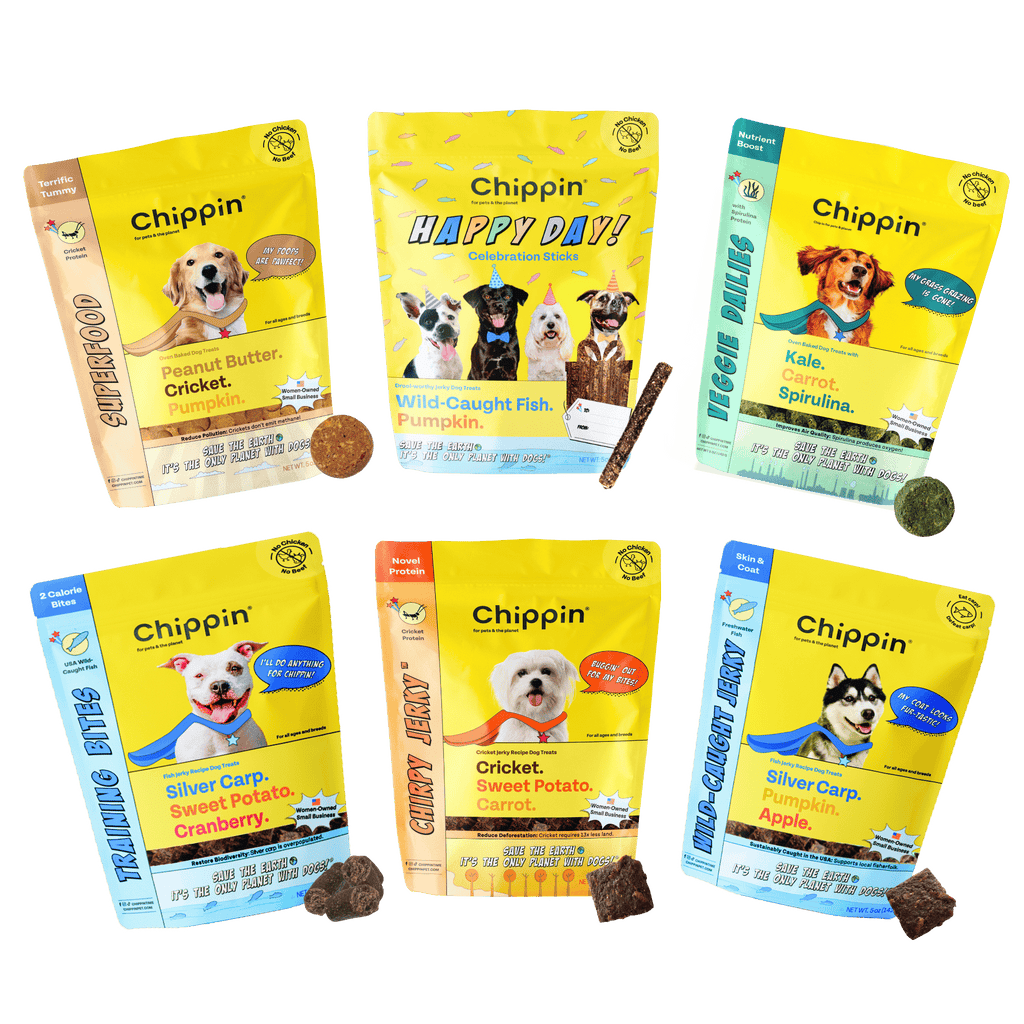 Chippin Treats Variety Gift Bundle, 6-Pack- Your dog will love these
