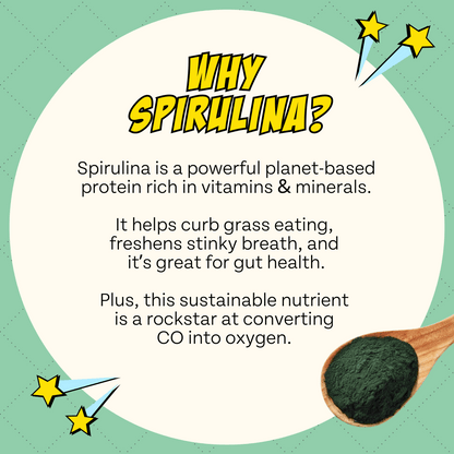 Chippin Treats Veggie Dailies with Spirulina, 4-Pack