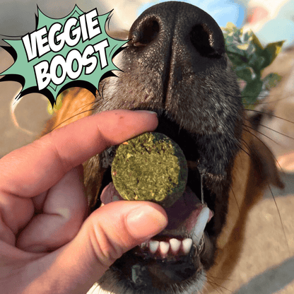 Chippin Treats Veggie Dailies with Spirulina, 4-Pack