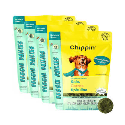 Chippin Treats Veggie Dailies with Spirulina, 4-Pack