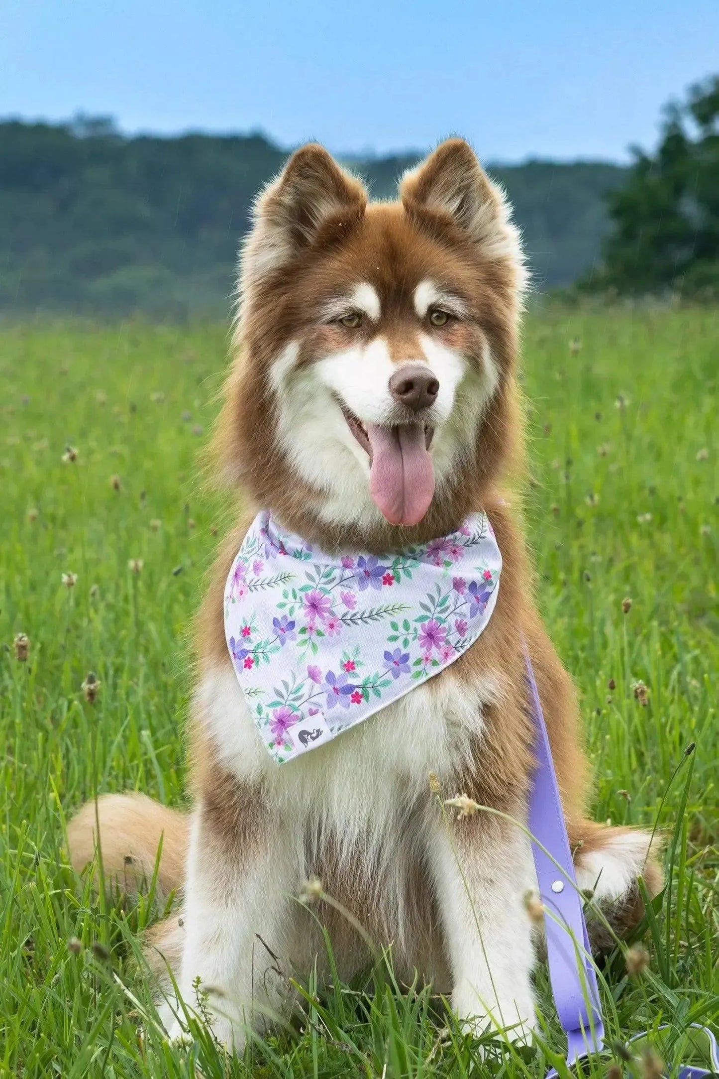 Wildflower Meadow Dog Bandana & Matching Keychain