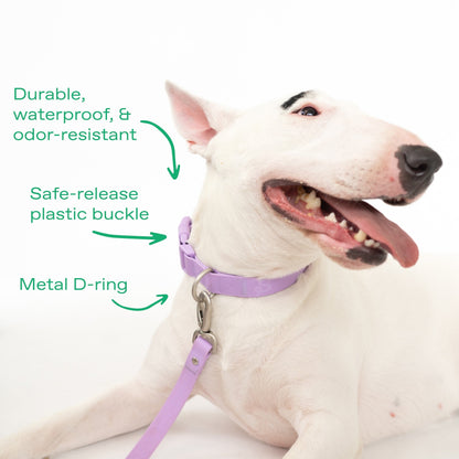 The Original Waterproof Dog Collar