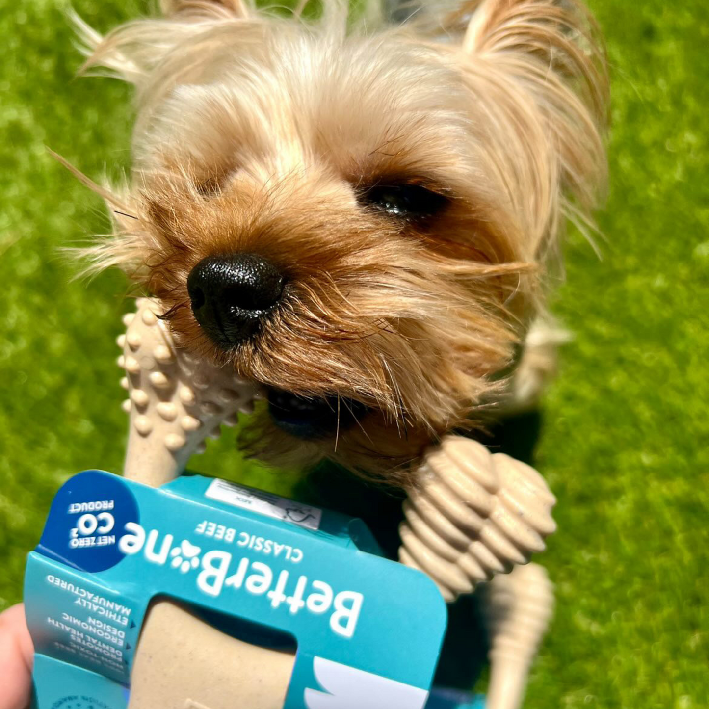 BetterBone SOFT Durability CHEW TOY: Natural Ingredients, Perfect for Teething Puppies, Senior Dogs