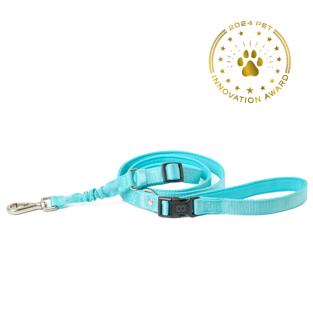 3-in-1 City Dog Leash - Fifth Avenue