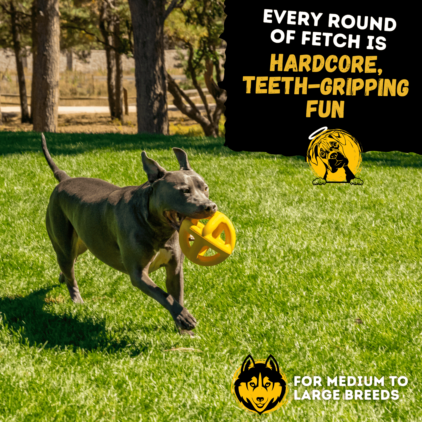 Giant Ring Ball Dog Toy Industrial Strength Rubber For Aggressive Chewers