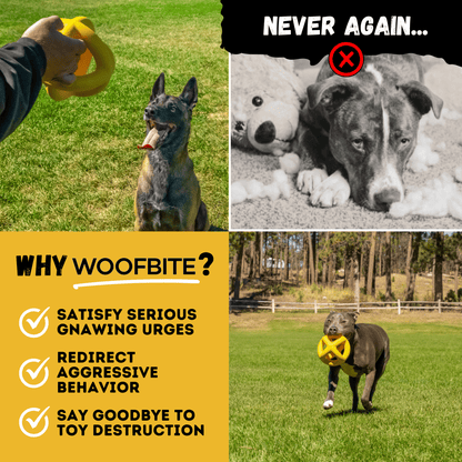 Giant Ring Ball Dog Toy Industrial Strength Rubber For Aggressive Chewers