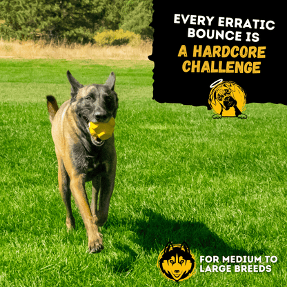 Jumping Jack Toy Unbreakable Dog Toy Heavy Duty Rubber for Aggressive Chewers Large Breeds