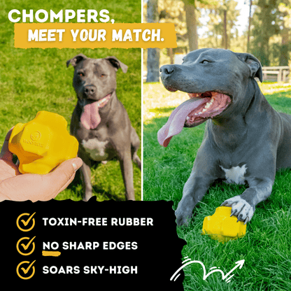 Jumping Jack Toy Unbreakable Dog Toy Heavy Duty Rubber for Aggressive Chewers Large Breeds