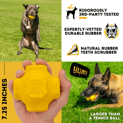 Jumping Jack Toy Unbreakable Dog Toy Heavy Duty Rubber for Aggressive Chewers Large Breeds