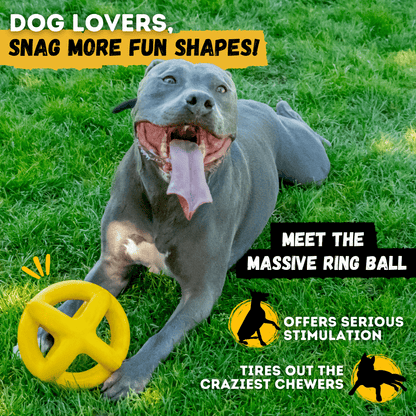 Jumping Jack Toy Unbreakable Dog Toy Heavy Duty Rubber for Aggressive Chewers Large Breeds