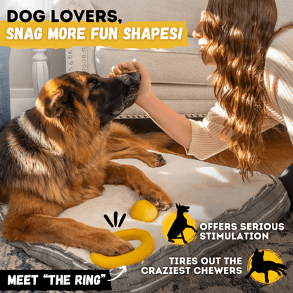 Power Ball Dog Toy Unbreakable for Aggressive Chewers Heavy Duty Rubber Construction