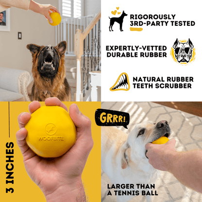 Power Ball Dog Toy Unbreakable for Aggressive Chewers Heavy Duty Rubber Construction