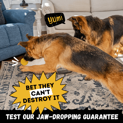 Power Ball Dog Toy Unbreakable for Aggressive Chewers Heavy Duty Rubber Construction