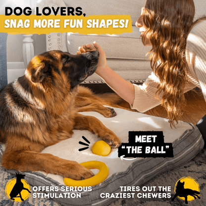 Power Ring Dog Toy Unbreakable For Aggressive Chewers Heavy Duty Rubber