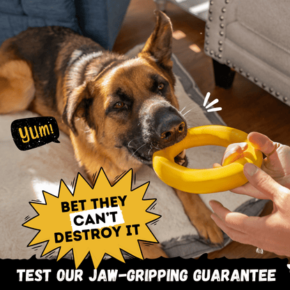 Power Ring Dog Toy Unbreakable For Aggressive Chewers Heavy Duty Rubber