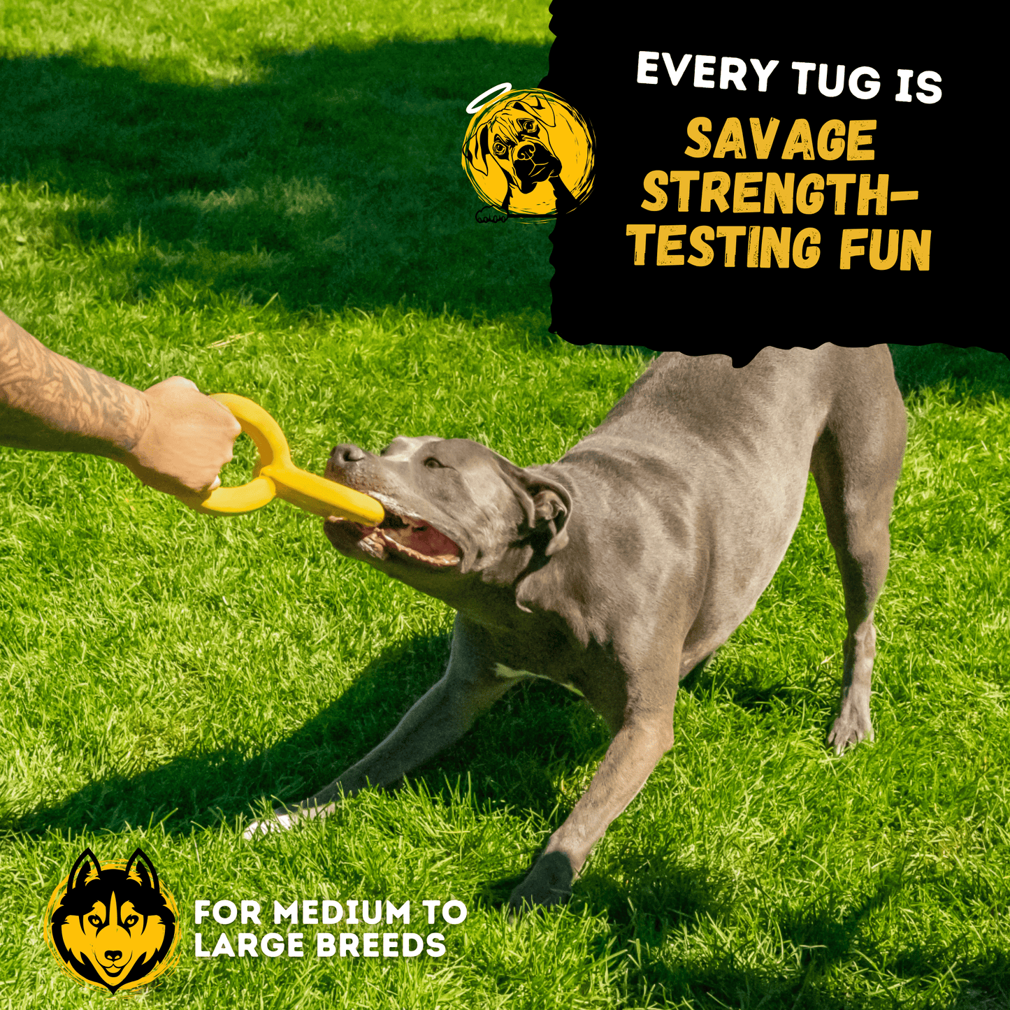 Woofbite Unbreakable Tug Ring Toy For Aggressive Chewers Durable Rubber For Large Dogs