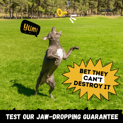 Woofbite Unbreakable Tug Ring Toy For Aggressive Chewers Durable Rubber For Large Dogs